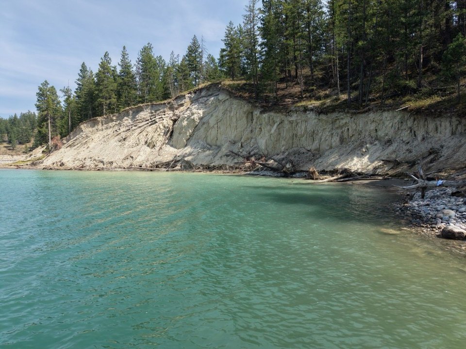 Turquoise Lake Koocanusa water below a pale cutbank and evergreen forest