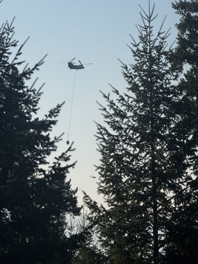 Chinook helicopter carrying a fire bucket beyond Montana timber