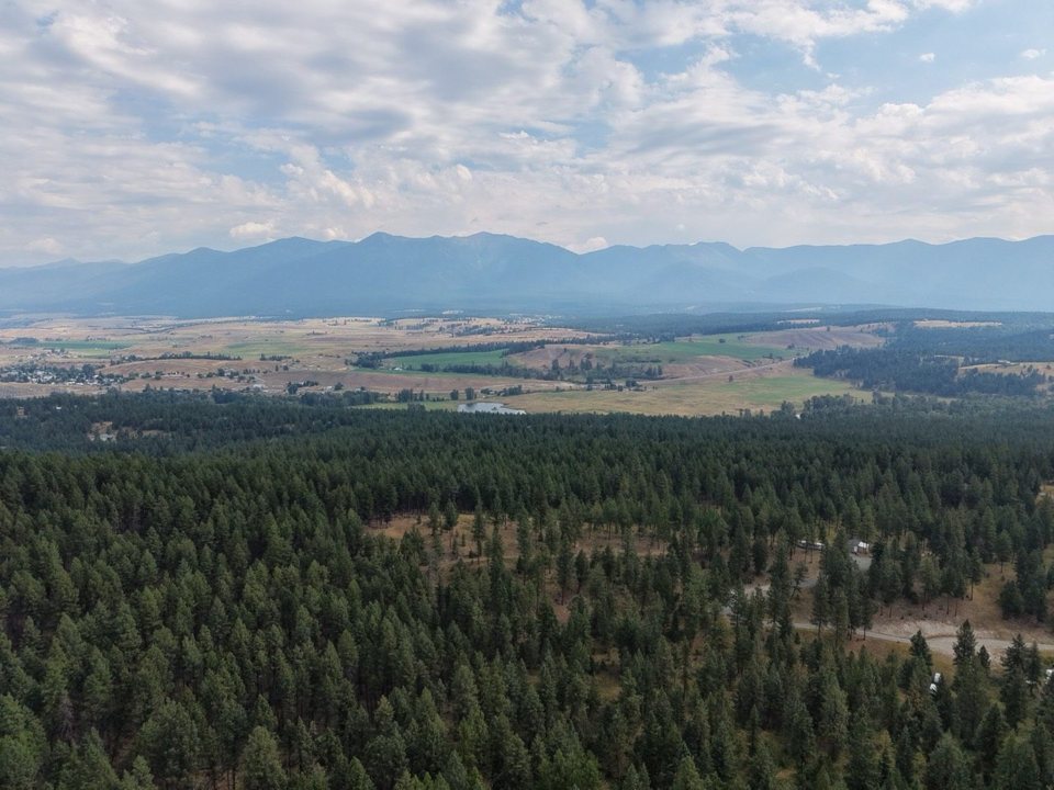 Tobacco Valley ridgeline, timber, and pale grass from the KTT Montana photo archive