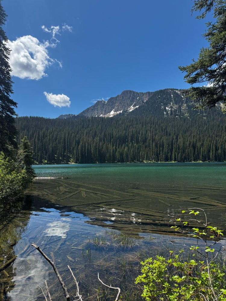 Montana shoreline used as field-planning reference