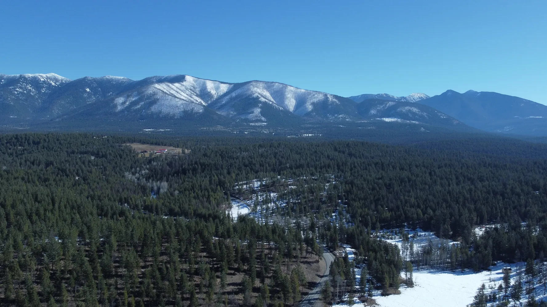 Snowy forested valley and mountains